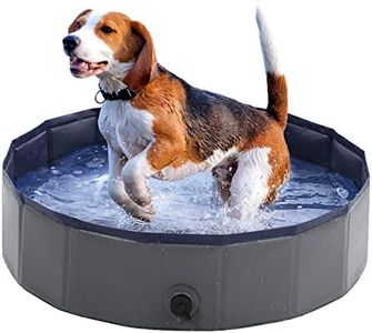 Dog Pool -