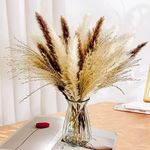 Total 60 Pcs | 15 Pcs White Pampas & 15 Pcs Brown Pampas & 30 Pcs Reed Grass/Natural Dried Pampas Grass for Flower Arrangements Home Decor