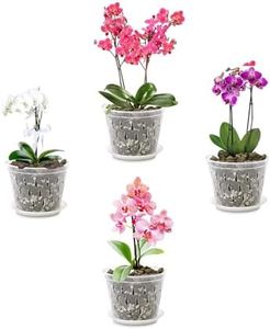 Orchid Pots for Repotting, Clear Orchid Pot with Holes and Saucers, Breathable Slotted Orchid Planters, Plastic Flower Plant Pots Indoor and Outdoor Pack of 4 (Clear, 5 Inch)