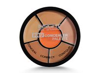 The Concealers