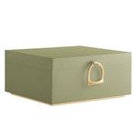 SONGMICS 2-Layer Jewelry Box, Jewelry Organizer with Handle, Removable Jewelry Tray, Jewelry Storage, Floating Effect, 8.1 x 9.4 x 4.3 Inches, Gift Idea, Laurel Green UJBC165C02