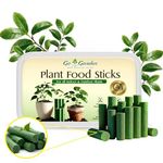 Go Garden Fertilizer Sticks | Plant Food Stick for Indoor & Outdoor Home Garden Plants | Multi-Purpose Natural Plant Growth Booster | Healthy Flower & Fruit Yield | Easy-to-Use Sticks | Pack of 40