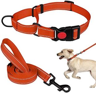 Martingale Dog Collar and Leash Set Martingale Collars for Dogs Reflective Martingale Collar for Small Medium Large Dogs(Orange&S)