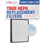 LifeSupplyUSA Replacement 2-in-1 HEPA Carbon Combination Filter Compatible with Heaven Fresh HF 380 Air Purifier XJ-3800