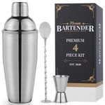 Premium Mixology Cocktail Shaker Set | 4 Piece Bar Tool Set, Silver Bar Set Cocktail Shaker Set for Drink Mixing - Includes Martini Shaker, Jigger, Bar Mixer Spoon + Free Cocktail Recipes | Gift Idea