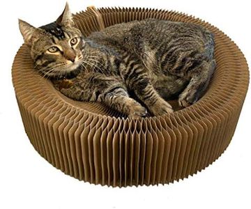BobbyPet Cat Scratcher Lounge Bed - Collapsible Round Shape for Big cat