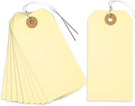 SallyFashion Tags with Wire, Blank 