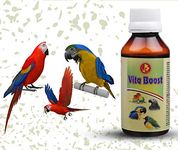 Pet Care International (PCI) Bird Supplement Vita Boost for Essential Vitamins to Healthy Bird Healthcare (30 ML, Vita Boost)