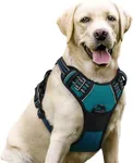 rabbitgoo Dog Harness No Pull with 