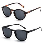 ZENOTTIC 2 Pack Polarised Sunglasses Womens Mens Retro Vintage Round and Square Sun Glasses with UV400 Protection Unisex