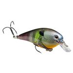 KVD Square Bill 1.0 / Neon Bluegill