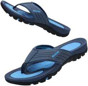 WateLves C