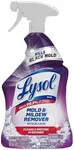 Lysol Mold & Mildew Remover spray w