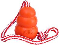 KONG Aqua - Floating Fetch Toy for Water Play - For Large Dogs