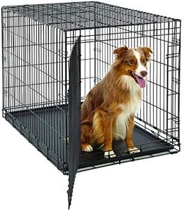 Large Dog Crate Midwest Life Stages Folding Metal Dog Crate Divider Panel, Floor Protecting Feet, Leak-Proof Dog Tray 42L x 28W x 31H Inches, Large Dog
