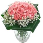 Clare Florist 2 Dozen Pink Carnations Fresh Flower Bouquet - Stunning Collection of Pink Floral Tones to Brighten Your Home