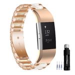 Gheper Resin Stainless Steel Watchband Compatible with Fitbit Charge 2/Charge 2HR Smartwatch Wristband Replacement Metal Strap for Women Men