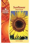 Simply Garden Sunflower Giant Single Seeds for Planting UK Grow Your Own Flowers