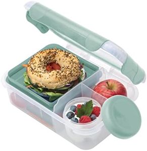 Smash Bento Lunch Box, Fern Green, 1.6 Liter Capacity