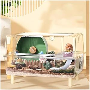 Ruexue Large 2-Floor Hamster and Guinea Pig Cage Set, Luxury Rat Accommodation, Clear Acrylic Transparent View Small Animal Habitat with Slide(Transparent:24.4"x18"x13.4")