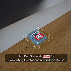 Ant Bait Station Twin Pack – Indoor & Outdoor Ant Killer Traps