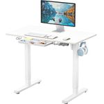 SHW 40-Inch Electric Height Adjustable Standing Desk with Memory Preset and Cable Management Tray, 100 x 60 cm, White