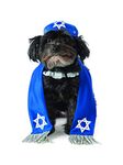 Rubies Yarmulke and Tallis Dog Costume