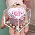 Giftcart Real Preserved Forever Long Lasting Eternal Rose (2-4 Years, Light Pink)