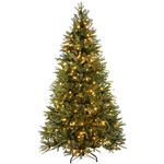 WeRChristmas Pre-Lit Regal Spruce Multi-Function Christmas Tree, 2.1 m - 7 feet with 450-LED, Green