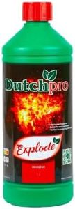 Dutch Pro 