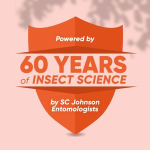 Off Insect Repellent Aerosol Spray – Mosquito & Bug Protection