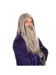 Bristol Novelty BW909 Grey Wizard Wig and Long Beard, Mens, One Size