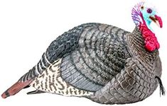 STRUT-LITE Jake Decoy