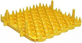 Set Of 6 Univerasl Egg Hatching Tra