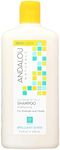 Andalou Sunflower & Citrus Brillian