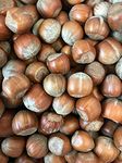 Superpet Hazelnuts In Shells For Wild Birds And Squirrels (1Kg)