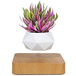 Levitating Air Bonsai Pot, Rotation Flower Pot Planters, Magnetic Levitation Suspension Floating Pot, Potted Plant Home Desk Decor in Flower Pots & Planters from Home & Garden on (Light Color)