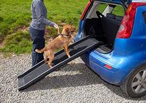 Car Pet Ramps