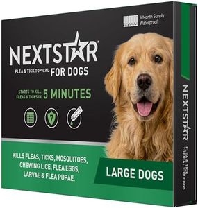 NEXTSTAR F