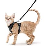 Cat Harnesses