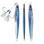 OCEAN CAT 1 PC Lead Metal Flat Slow Fall Pitch Fishing Jigs Lures Sinking Vertical Jigging Bait with Butterfly Hook for Saltwater Fishing Size 40g 80g 120g 160g 200g (Blue&Silver, 200g)