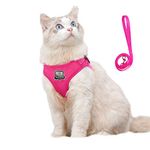 Anlitent Soft Mesh No Pull Cat Harness and Lead Set for Walking, Escape Proof Kitten Vest Harnesses for Small Animals Rabbit/Mouse/Cats, Cool Cat Collar Puppies