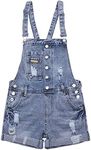 AvaCostume Womens Wash Jumper Denim Overall Shorts, XXL