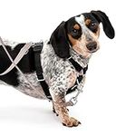 PetSafe Sure-Fit Harness, Adjustable Dog Harness from the Makers of the Easy Walk Harness