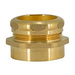 Eastman 35401 Trap Adapter Female, Brass