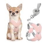 Pawaboo Dog Harness with Leash Set, X-Frame No Pull Pet Harness, Adjustable Choke Free Dog Vest Harness for Small Medium Dogs & Puppies, Breathable Puppy Vest with Leash for Walking Outing (S, Pink)