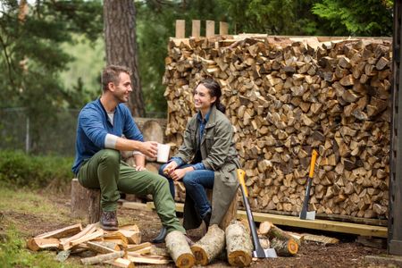 Fiskars X25 Splitting Axe 2.5kg – Heavy Duty Wood Chopper