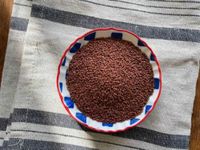 Cress Seeds, 100g Aserio Seeds, Watercress Seeds, Haleen Seeds, Halim Seeds, Cressonnette, Garden cress Seeds, Aliv Seeds