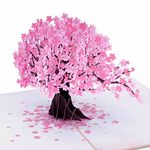 Paper Love 3D Cherry Blossom Pop Up Card, Gift for Birthday, Wedding, Anniversary, Mothers Day, Thank You, Get Well, All Occasion or Just Because - 5" x 7" Cover - Includes Envelope and Note Tag