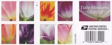 USPS 2023 Tulip Blossom Forever Fir